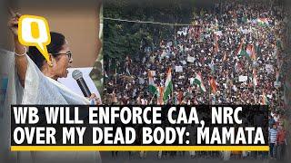 Mamata Dares Centre to Sack Her Govt as Anti-CAA Stir Rocks Bengal