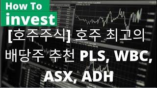 [호주주식] 호주 최고의 배당주 추천 PLS, WBC, ASX, ADH