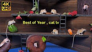 Ultimate Cat TV: Year’s Top Mouse Adventures for cats to watch | Non-Stop Fun in 4K 60fps