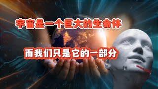 新的宇宙观：宇宙是一个生命，星球是它的细胞，人类是它的一部分