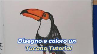 Disegno e coloro l'uccello Tucano Tutorial