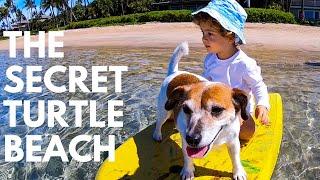 Things to Do in Maui with Kids | For an Unforgettable Family Vacation