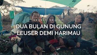 Dua Puluh Kali Bolak-balik Gunung Leuser Pernah Jumpa Harimau