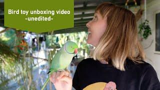 unboxing bird toys with my pet parrots - unedited bird asmr