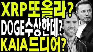 비트코인 도지코인 리플코인  도지코인 재상승준비중?세력이 안올린 코인에 관하여?