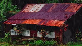 8 Hours Rainforest Sounds, Jungle Birds Songs [Rain Sound Nature Meditation]