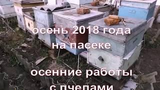 осень 2018 года на пасеке - осенние работы с пчелами