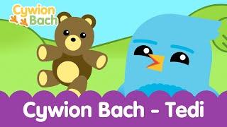 Cywion Bach - Tedi  Babis Cymraeg Cyw | Welsh Infants S4C Babies