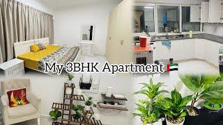 Finally Apartment Mill Gaya||Deep Cleaning+ Maintenance Start|| Please Positive Socha Karain||