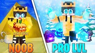 I Became Noob To Pro In Blox Fruits Roblox