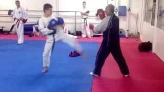 Master Vasilis Alexandris - ITF Taekwon-Do Sparring routines (colour belt class)