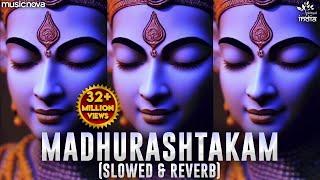 Adharam Madhuram (Slow + Reverb) | Krishna Bhajan | Bhakti Song | Bhajan Song | Madhurashtakam Lofi