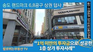 1억미만 투자금으로 성공한 1층 상가 '비과밀억제권역 송도랜드마크씨티"