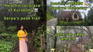 এক রোমাঞ্চকর অনুভূতি | Squirrel Homestay |Dowhill | Heaven Valley |Victoria Boys School | Death Road