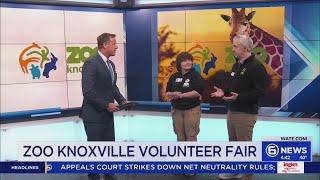 How to volunteer at Zoo Knoxville