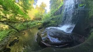 Sächsische Schweiz - Lohmen Altes Wasserwerk Sep 2023