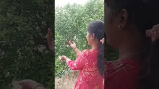 hochil swas maza#love #naturelove #youtubeshort #travel #trendingshorts #shortvideo #divyaarvind