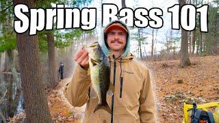 How to Catch Spring Bass