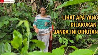 Suasana Hidup di Desa Jawa-Janda Desa Cantik Memasak Sederhana Daun Singkong,Tahu,tempe