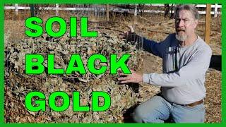 How to Make Leaf Mold (3 Methods)