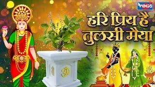 हरी प्रिय है तुलसी मैया | Hari Priy Hai Tulsi Maiya | Tulsi Mata Songs | Tulsi Mata Aarti | Bhajan