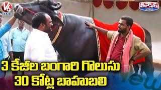 Auto Raju Conversation with Padma | Bahubali Bull Special Attraction In Sadar Celebrations | V6