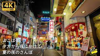 Yokohama Summer Night Walk [4K]