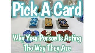 Pick A Card Why Your Person Is Acting The Way They Are