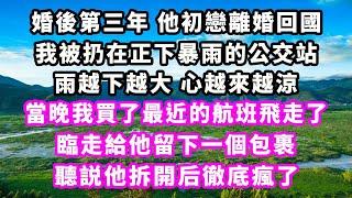 婚後第三年他初戀離婚回國，我被扔在正下暴雨的公交站，雨越下越大心越來越涼，當晚我買了最近的航班飛走了，臨走給他留下一個包裹，聽説他拆開后徹底瘋了#爽文完結#一口氣看完#小三#豪門#霸總