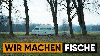 Laichhilfen, mach mit! #wirmachenfische