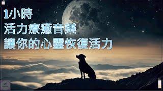 [1小時] [無廣告音樂] 活力療癒音樂：讓你與寵物心靈恢復活力 | 充滿活力的療癒音樂：讓你重拾精力 | 療癒與活力：音樂為你注入新能量 | 充滿能量的療癒音樂：恢復活力 | 療癒音樂背景音樂