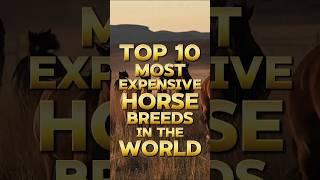 Top 10 Most Expensive Horse Breeds in the World #youtubeshorts #trending #shorts #top10