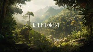 "Jungle Serenity: Ambient Soundscape for Relaxation and Nature Retreat"