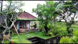 The Sanyas Retreat - Indonesia Tabanan