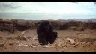 2001: A Space Odyssey - The Dawn of Man