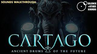 CARTAGO - Ancient Drums of the Future - Presets Walkthrough by Stefano Maccarelli