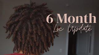 6 Month Loc Update | Wash and Retwist Results