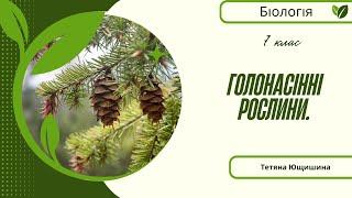 Урок 21. Голонасінні рослини. 7 клас. НУШ