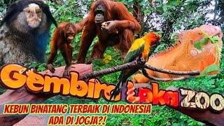 GEMBIRA LOKA ZOO YOGYAKARTA‼️ KEBUN BINATANG TERBAIK DI INDONESIA 2023 | WISATA KELUARGA DI JOGJA‼️