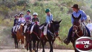 Spur Cross Stables - Best Horseback Riding - Arizona 2016