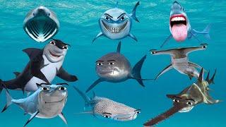 All Shark Gegagedigedagedago Compilation