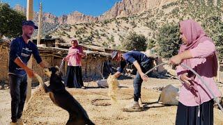 Nomadic life: nomadic couple's house: plastering the wall of a nomadic house