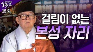 [큰자막]걸림이 없는 본성 자리 |송담스님의 이뭣고 15회 (전체영상) #송담스님 #이뭣고 #화두 #참선