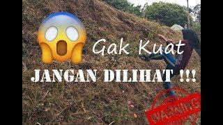 Halang Rintang Pramuka Kreatif