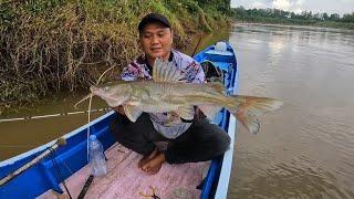 Tarikan Baung JUMBO Sehabis Di Guyur Hujan | Mancing Baung Di Musim Hujan