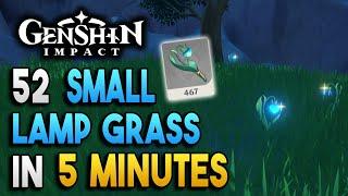 Small Lamp Grass Locations - Fast and Efficient - Ascension Materials -【Genshin Impact】