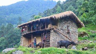 Nepali Mountain Village Life | Naturally Beautiful And Peaceful | Rural Life Nepal @VillageLifeNepal