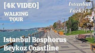 Istanbul Beykoz 4K Walking Tour by the Bosphorus Coast [4K Video]