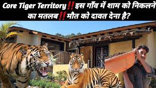 Core Tiger Territory‼️इस गाँव में शाम को निकलने का मतलब‼️मौत को दावत देना है? 