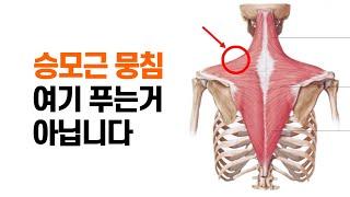 [상부 승모근 셀프 마사지] 스트레칭 그만하세요. 여기 푸는거 아닙니다